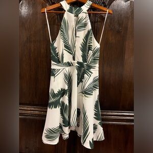 Size Medium C/MEO Collective Dress